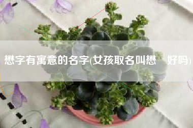 懋字有寓意的名字(女孩取名叫懋叕好吗)