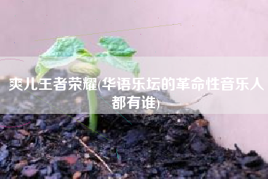 爽儿王者荣耀(华语乐坛的革命性音乐人都有谁)