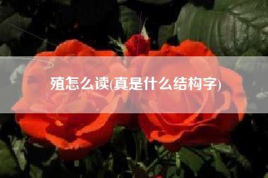 殖怎么读(真是什么结构字)