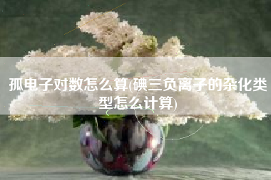 孤电子对数怎么算(碘三负离子的杂化类型怎么计算)