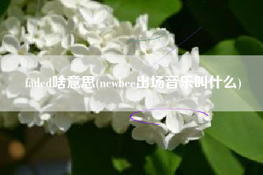 faded啥意思(newbee出场音乐叫什么)