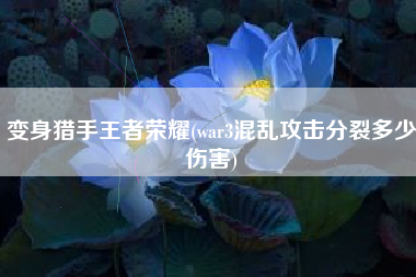 变身猎手王者荣耀(war3混乱攻击分裂多少伤害)