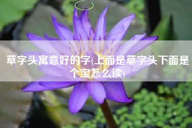 草字头寓意好的字(上面是草字头下面是个宝怎么读)