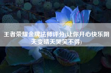 王者荣耀金牌法师评分(让你开心快乐阴天变晴天哭笑不得)