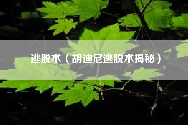 逃脱术（胡迪尼逃脱术揭秘）