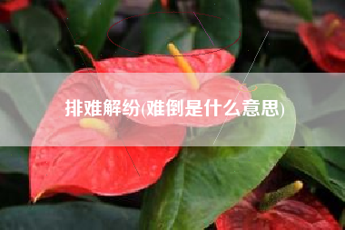 排难解纷(难倒是什么意思)