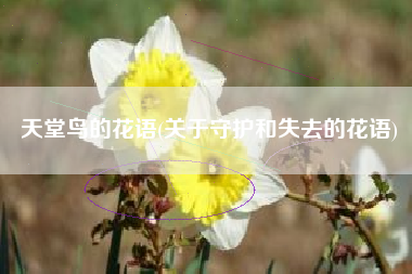 天堂鸟的花语(关于守护和失去的花语)