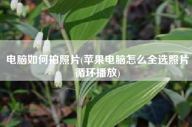 电脑如何拍照片(苹果电脑怎么全选照片循环播放)