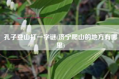 孔子登山打一字谜(济宁爬山的地方有哪里)