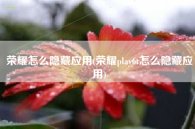 荣耀怎么隐藏应用(荣耀play6t怎么隐藏应用)