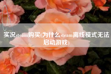 实况steam购买(为什么steam离线模式无法启动游戏)