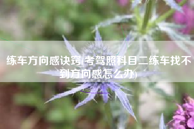 练车方向感诀窍(考驾照科目二练车找不到方向感怎么办)