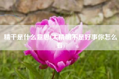 精干是什么意思(太精明不是好事你怎么看)