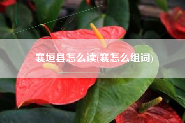 襄垣县怎么读(襄怎么组词)