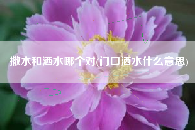 撒水和洒水哪个对(门口洒水什么意思)