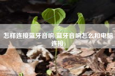 怎样连接蓝牙音响(蓝牙音响怎么和电脑连接)