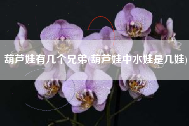 葫芦娃有几个兄弟(葫芦娃中水娃是几娃)