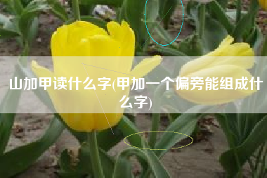 山加甲读什么字(甲加一个偏旁能组成什么字)