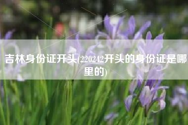 吉林身份证开头(220242开头的身份证是哪里的)