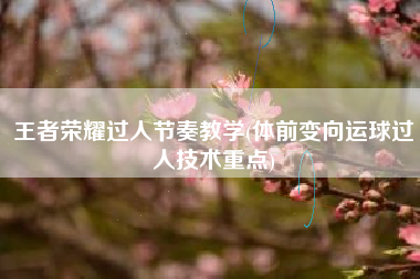 王者荣耀过人节奏教学(体前变向运球过人技术重点)