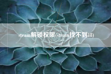 steam解锁权限(steam找不到18)