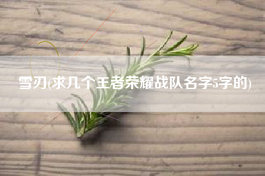 雪刃(求几个王者荣耀战队名字5字的)