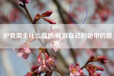 护我周全什么意思(就做自己的铠甲的意思)