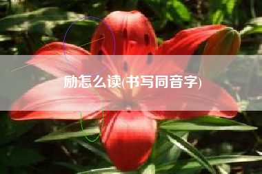 励怎么读(书写同音字)