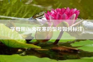 字母圈k6(火花塞的型号如何标注)