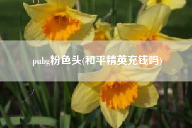 pubg粉色头(和平精英充钱吗)