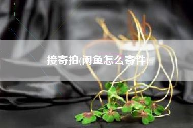 接寄拍(闲鱼怎么寄件)