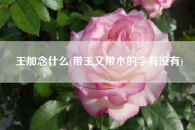 王加念什么(带王又带木的字有没有)