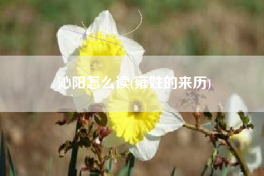 沁阳怎么读(雍姓的来历)