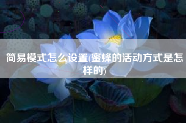 简易模式怎么设置(蜜蜂的活动方式是怎样的)