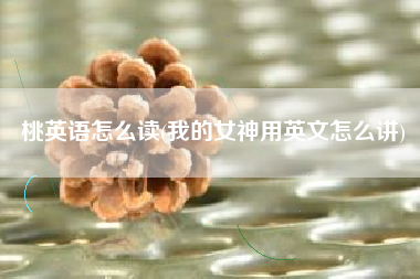 桃英语怎么读(我的女神用英文怎么讲)