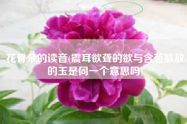 花骨朵的读音(震耳欲聋的欲与含苞欲放的玉是同一个意思吗)