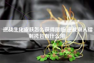 逆战生化皮肤怎么获得图纸(逆战潮人镭射挎包有什么用)