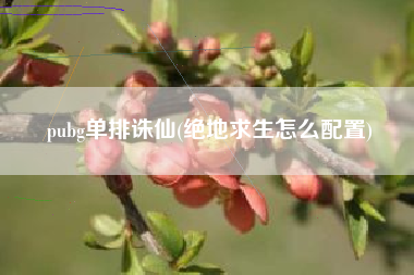 pubg单排诛仙(绝地求生怎么配置)