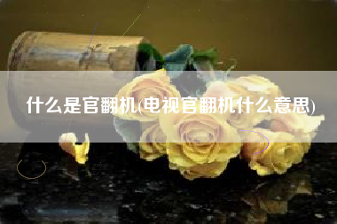 什么是官翻机(电视官翻机什么意思)