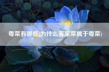 粤菜有哪些(为什么客家菜属于粤菜)