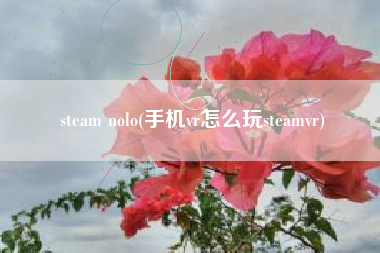 steam nolo(手机vr怎么玩steamvr)