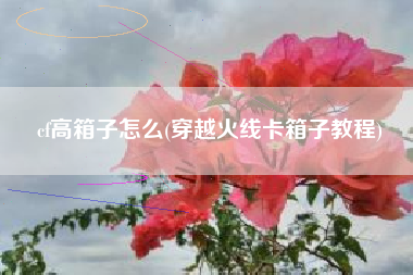 cf高箱子怎么(穿越火线卡箱子教程)