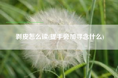 剥皮怎么读(提手旁加寻念什么)