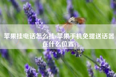 苹果挂电话怎么挂(苹果手机免提送话器在什么位置)