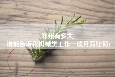 郑州有多大(
谁能告诉我机械类工作一般月薪如何)