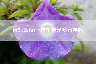 音怎么读(一这个字是多音字吗)