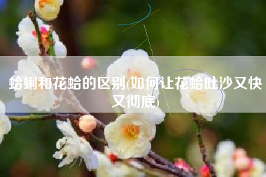 蛤蜊和花蛤的区别(如何让花蛤吐沙又快又彻底)