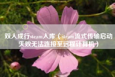 双人成行steam入库（steam流式传输启动失败无法连接至远程计算机）