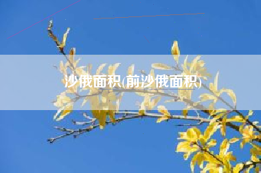 沙俄面积(前沙俄面积)