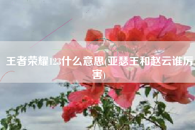 王者荣耀123什么意思(亚瑟王和赵云谁厉害)